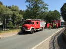 Feldbrand in Jahnsdorf am 14.08.2015